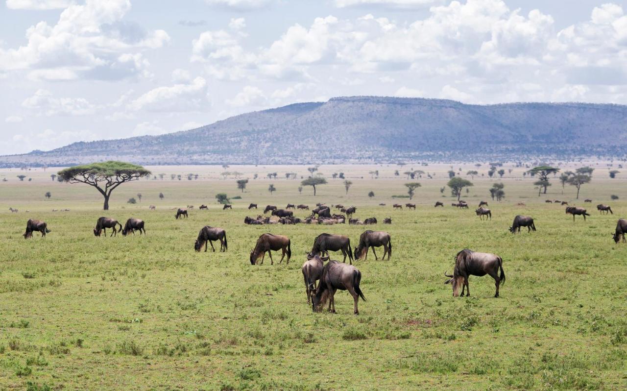 Ngorongoro Lodge Member Of Melia Collection - The Leading Hotels Of The World 외부 사진