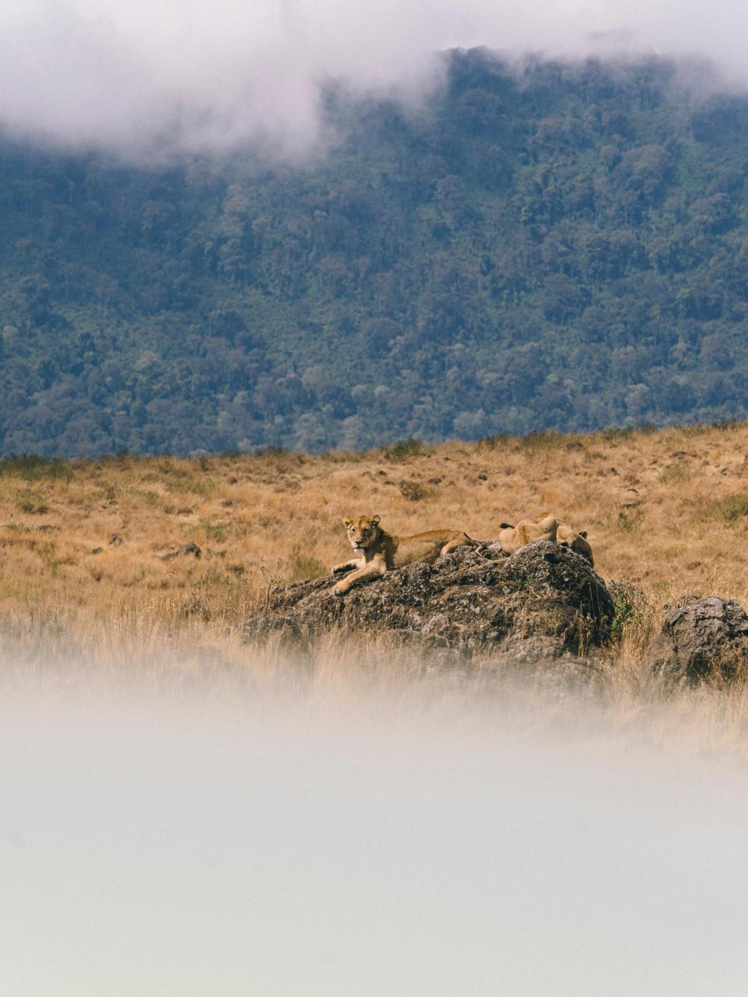 Ngorongoro Lodge Member Of Melia Collection - The Leading Hotels Of The World 외부 사진