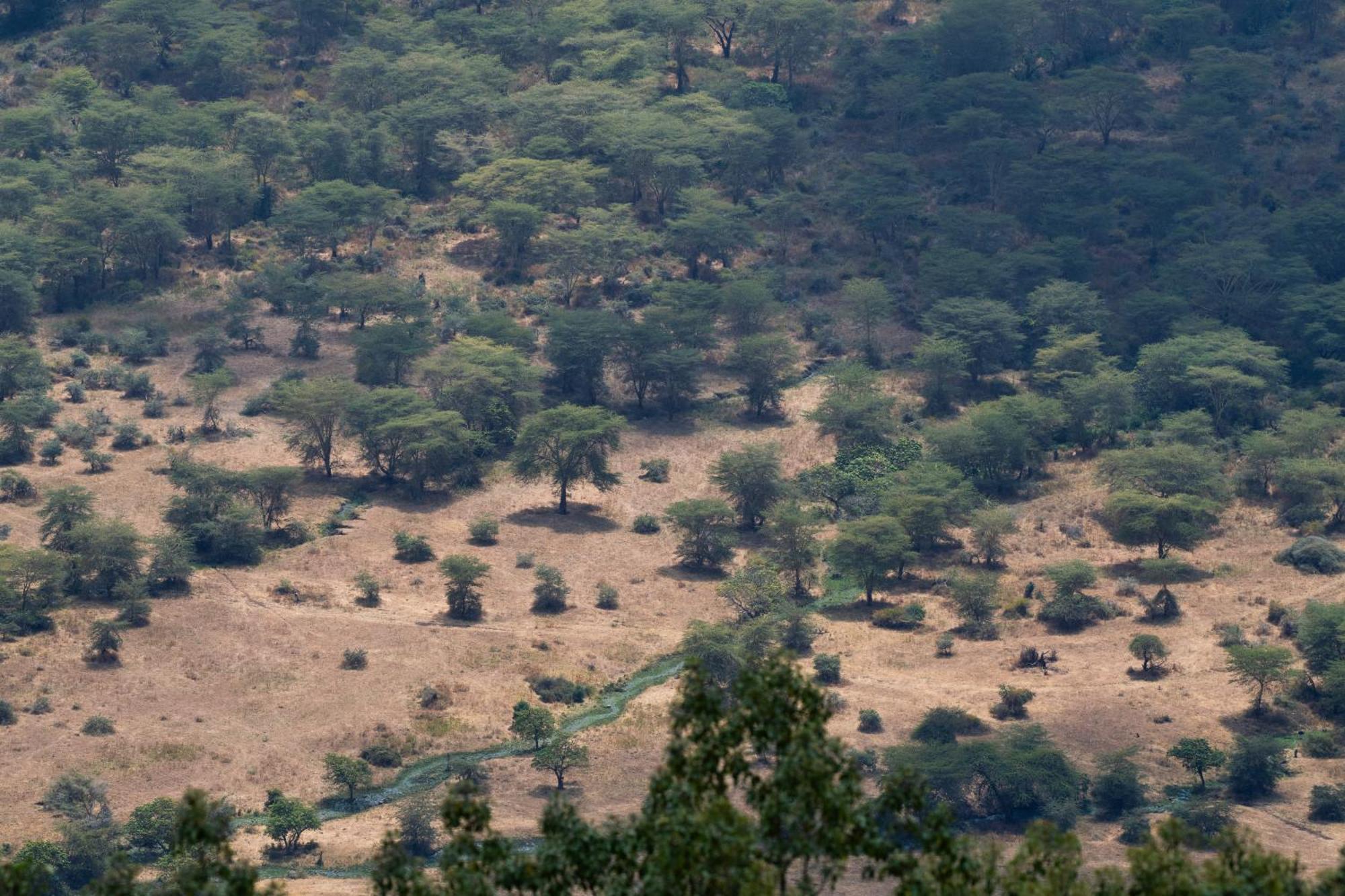 Ngorongoro Lodge Member Of Melia Collection - The Leading Hotels Of The World 외부 사진