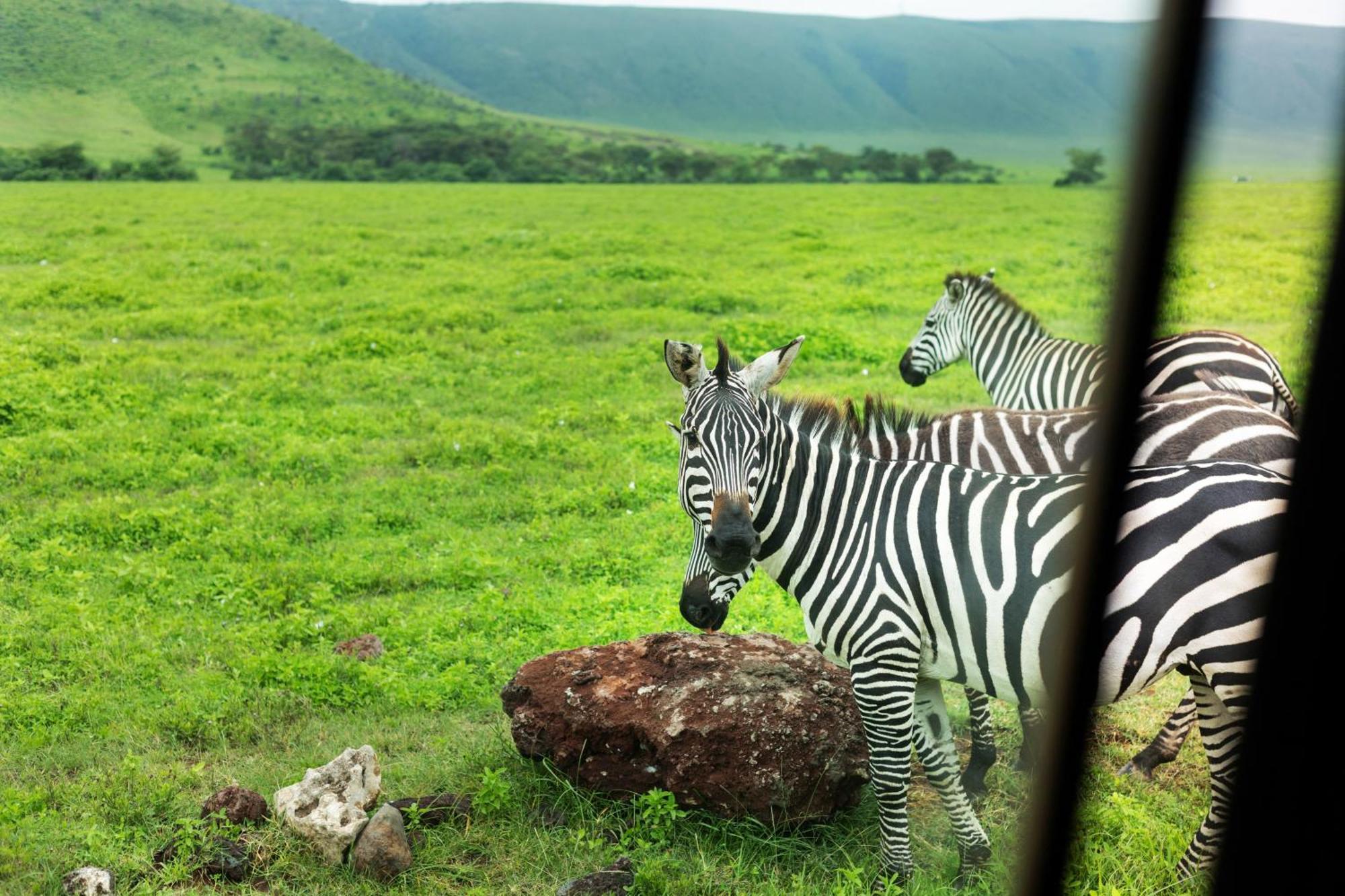Ngorongoro Lodge Member Of Melia Collection - The Leading Hotels Of The World 외부 사진
