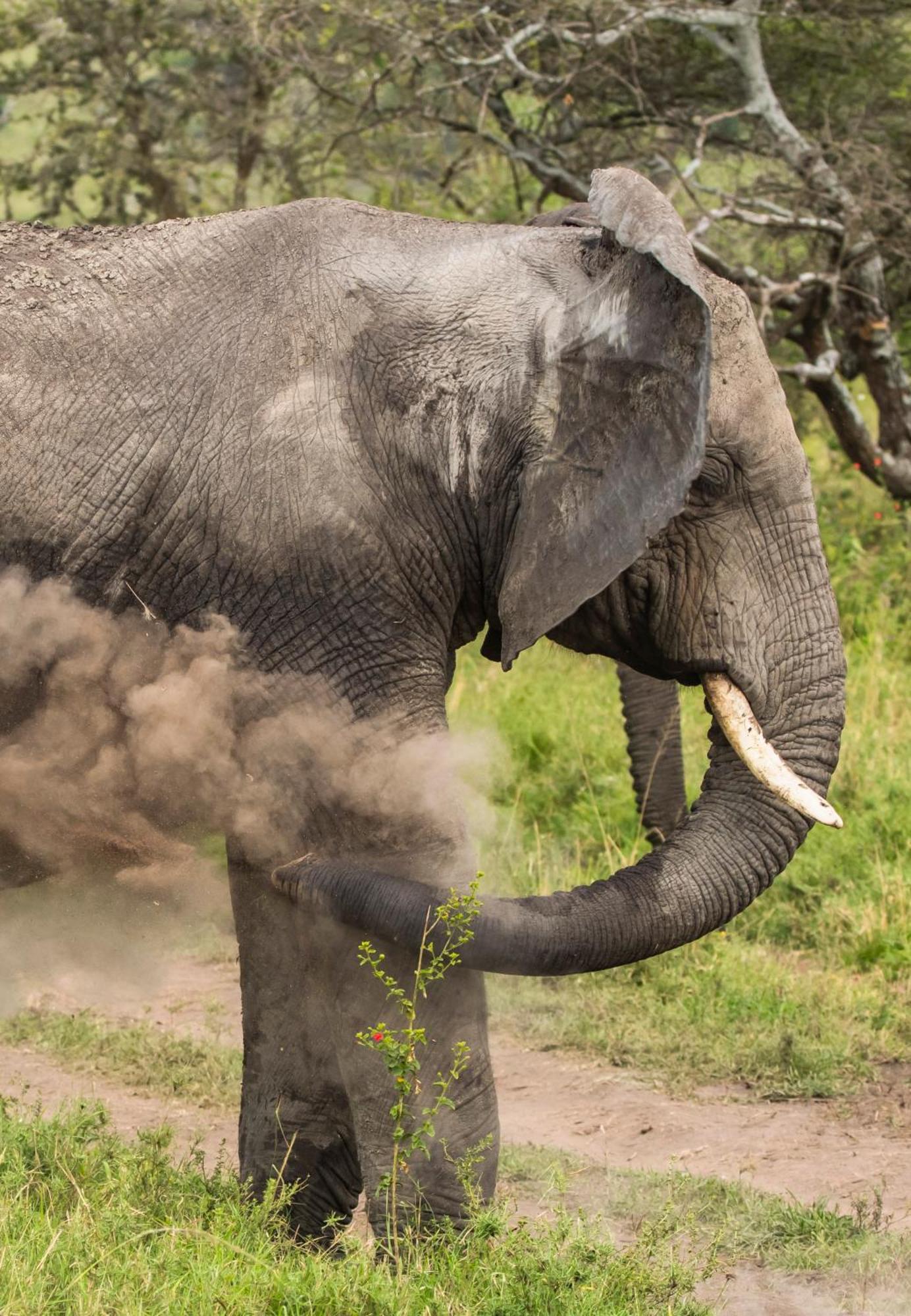 Ngorongoro Lodge Member Of Melia Collection - The Leading Hotels Of The World 외부 사진